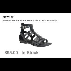 BORN TRIPOLI GLADIATOR SANDALS -Black leather
